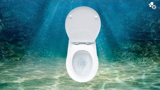 Is It Okay To Pee In The Ocean?